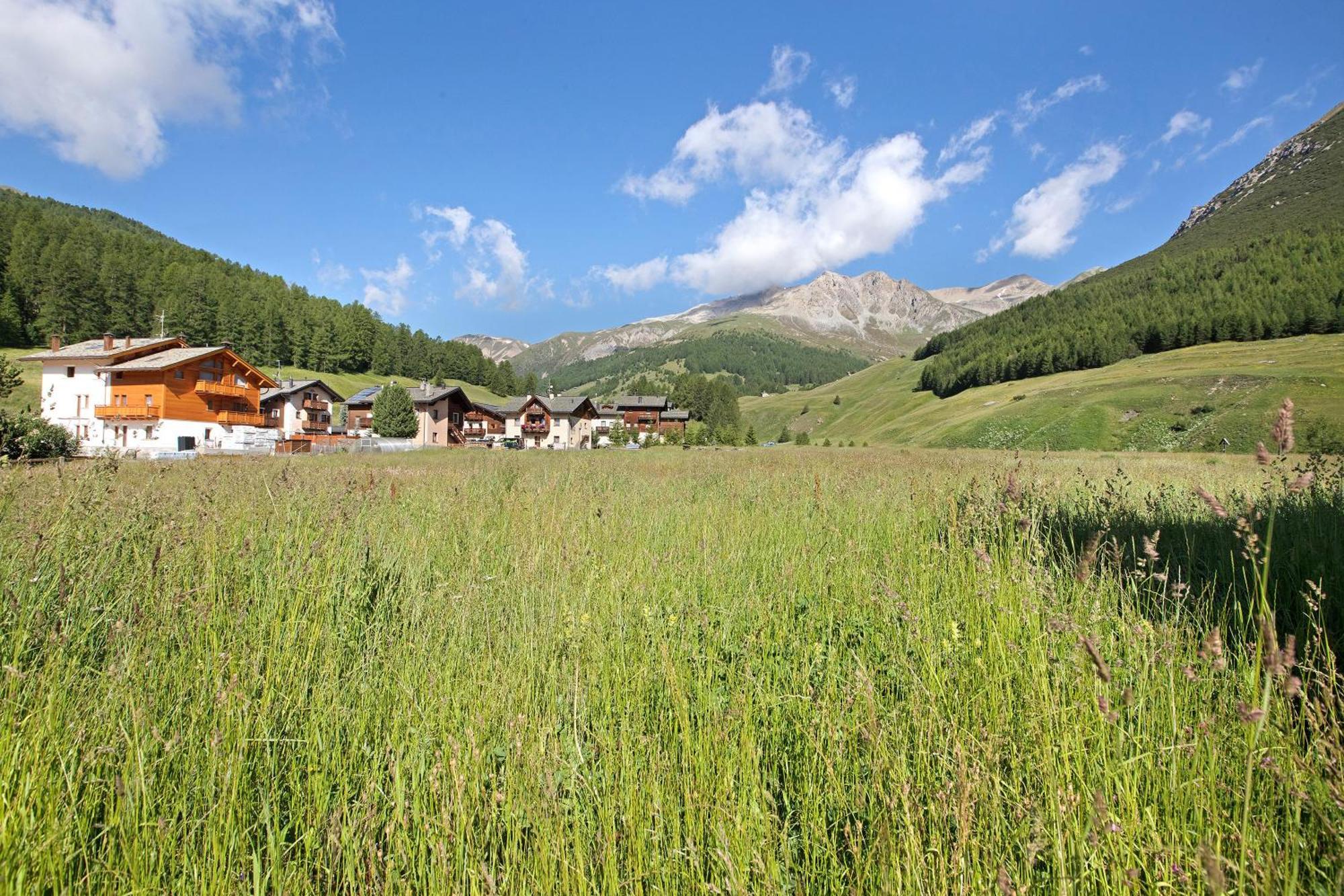 Apartment Lorenza 3 Baite Giotto *